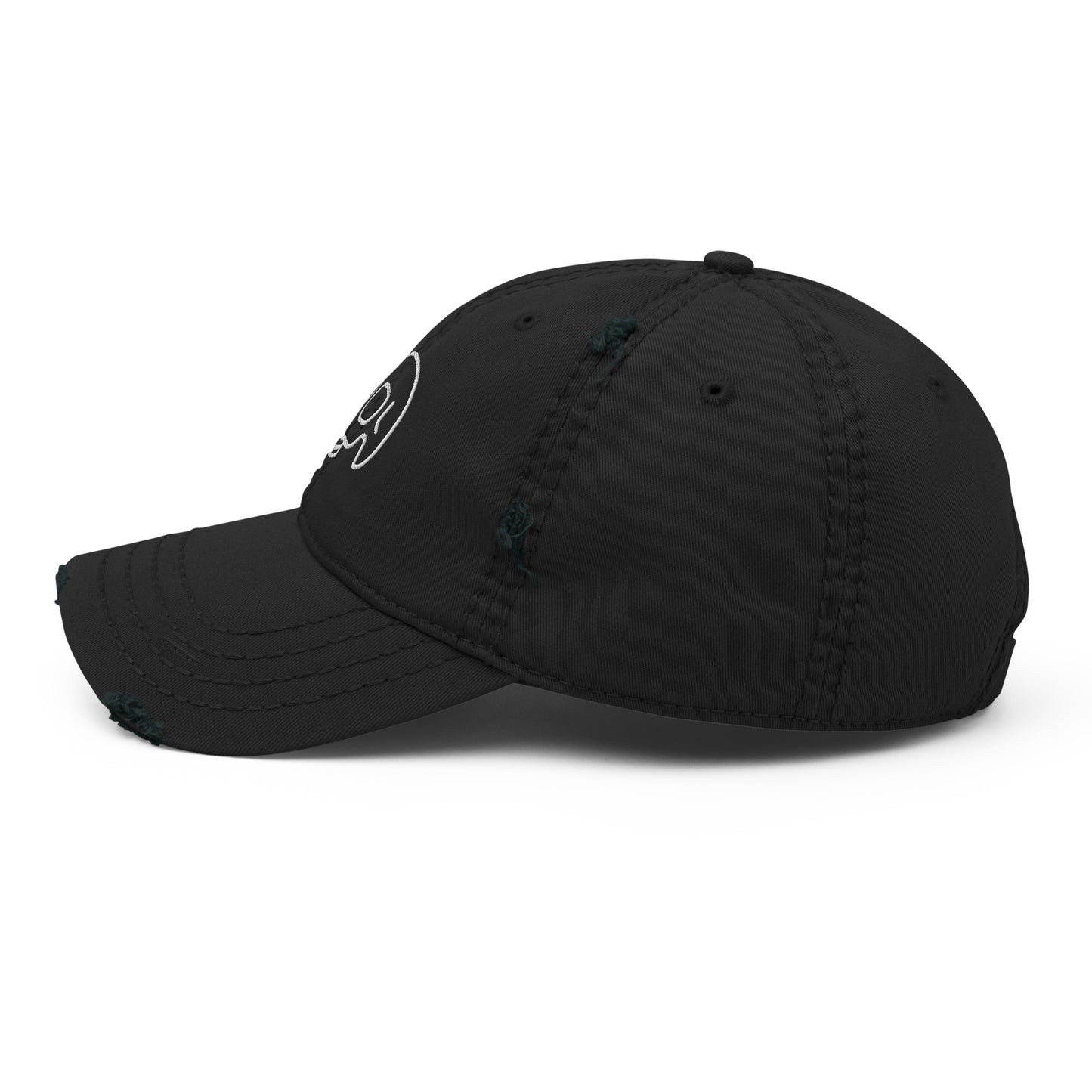 Skull Distressed Hat