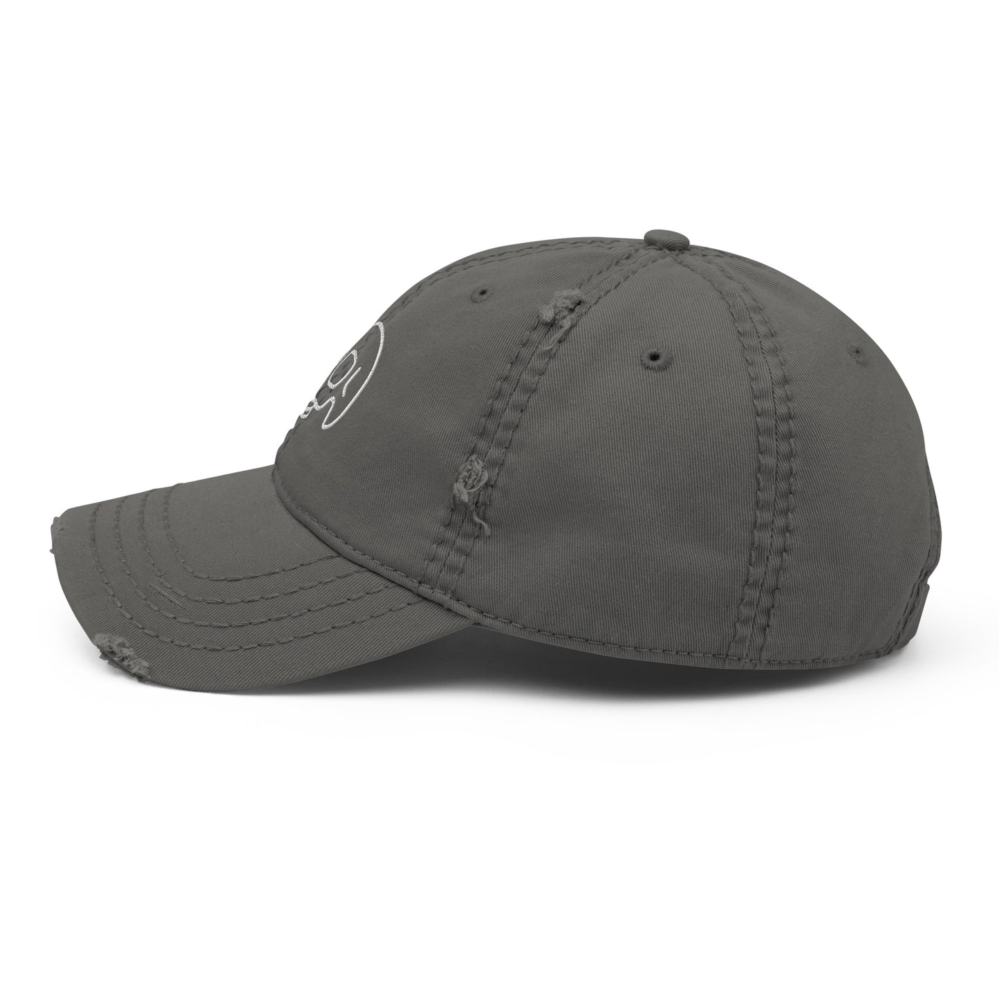 Skull Distressed Hat